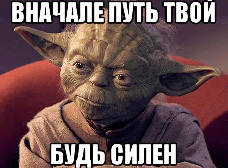 Junior Web Analyst - младший веб-аналитик