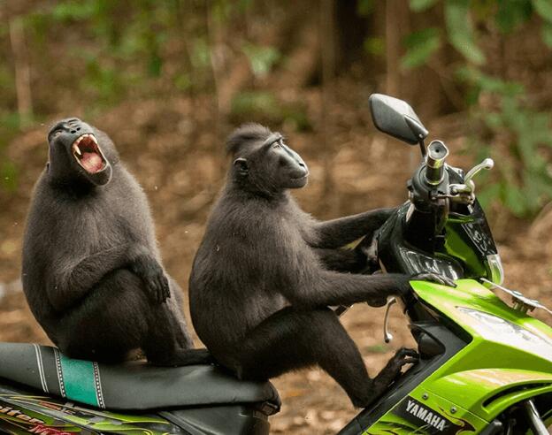 Креативность важное качество интернет-маркетолога