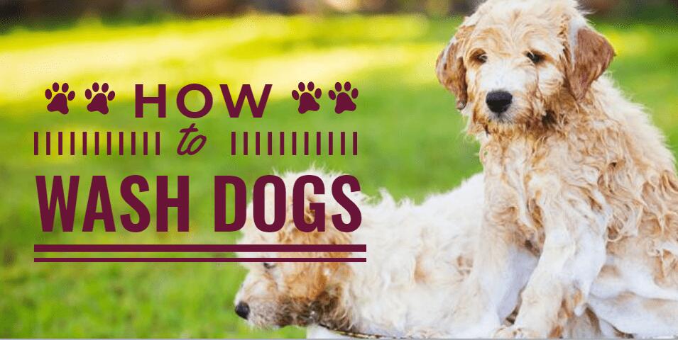 Популярные тематики для постов в Инстаграм