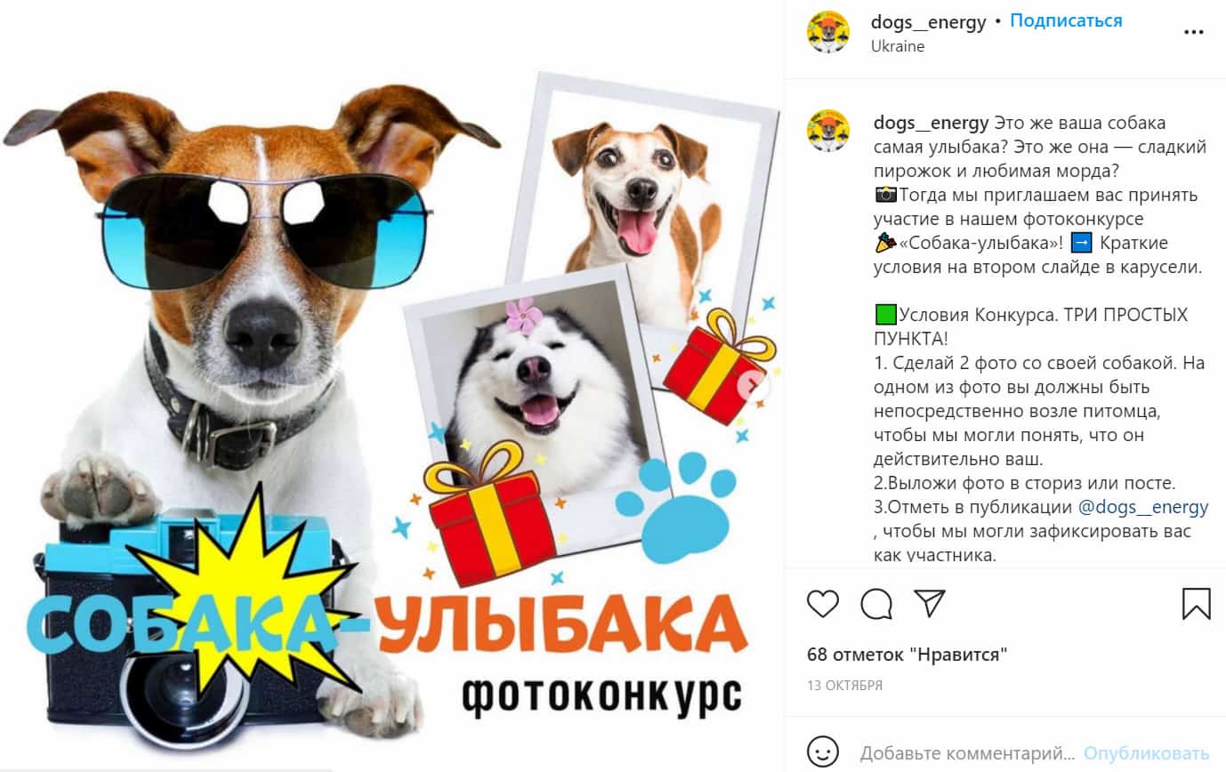 Фотоконкурс: в условиях организаторы указали, что одна из фотографий должна быть с питомцем — и это обязательное правило участия
