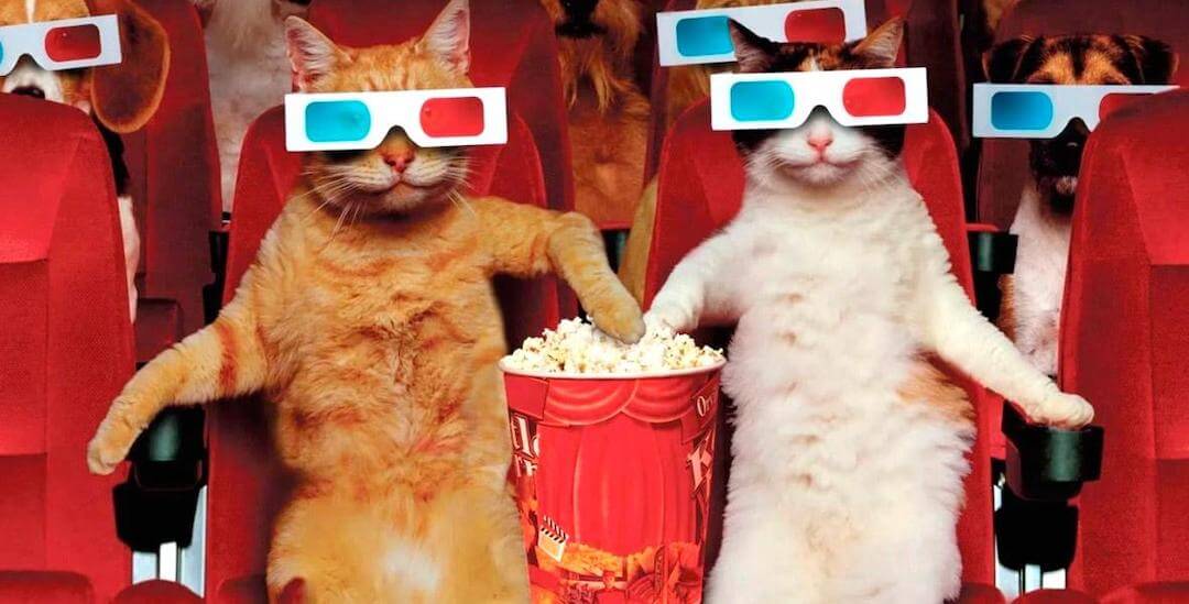 Автоматизация Инстаграм в 2020 - Увеличение просмотров сторис