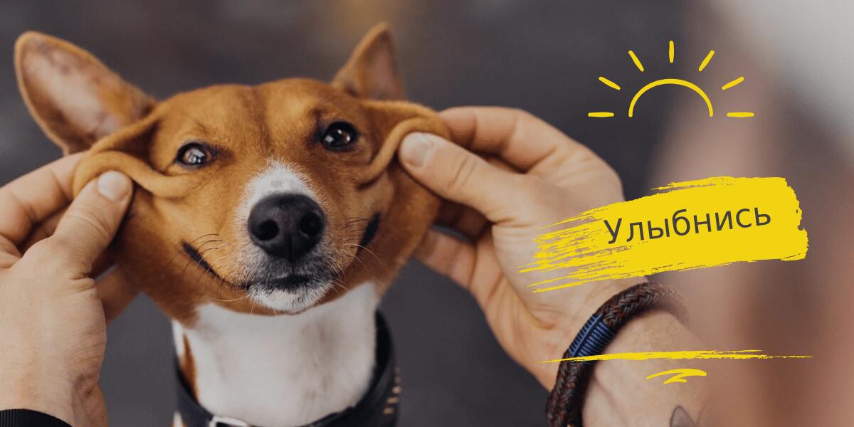 идеи для новых постов в Инстаграм