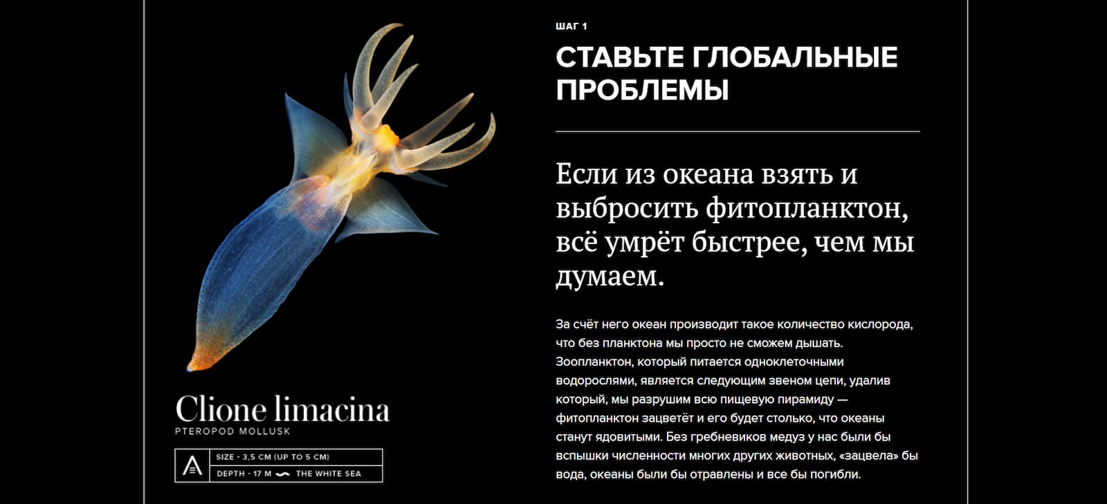 Лонгрид с продуманной структурой «Наука своими руками»