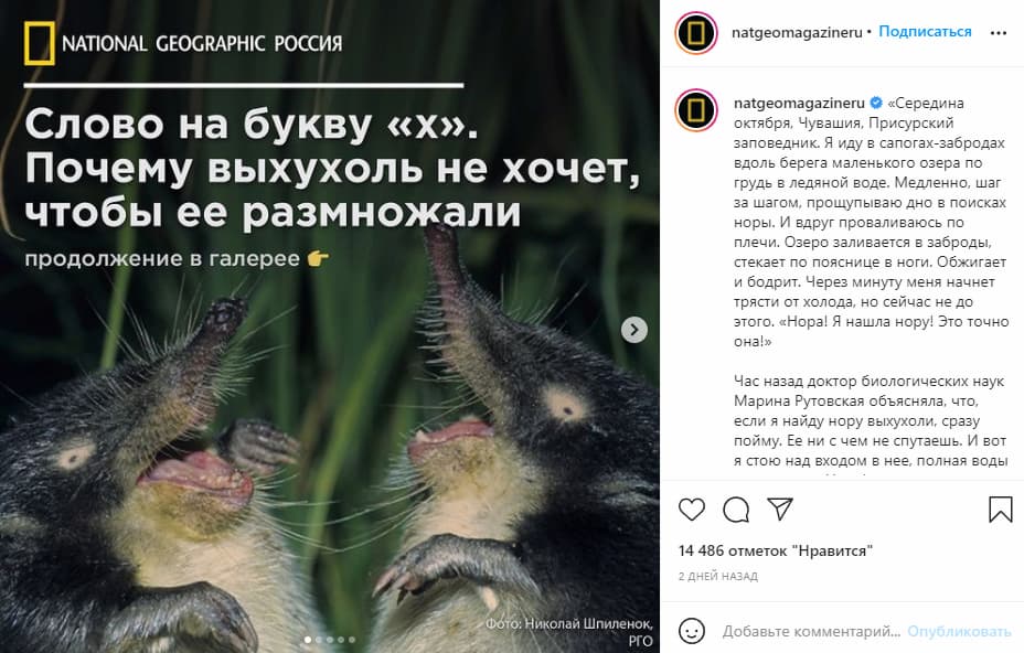 Это отличный пример того, как совершенно иначе можно преподносить развлекательный контент даже в серьёзной тематике природы