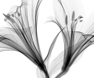 Podborka kursov po kompyuternoy grafike 2 e1621516831882