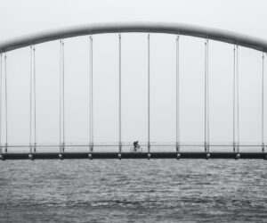 Kursy po organizacii sportivnyh meropriyatiy kkkbuu