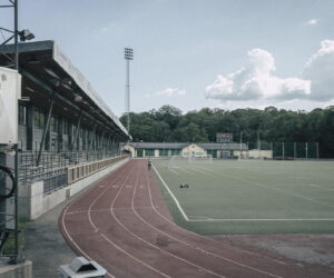 Kursy po sportivnomu menedzhmentu