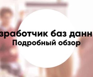 Database Developer10