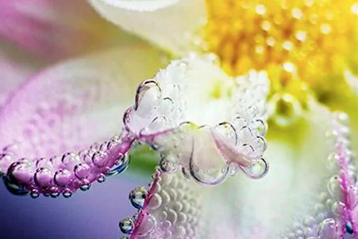 Система «Х» - пример