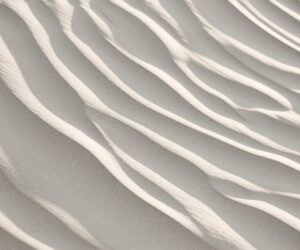 Courses computer vision online