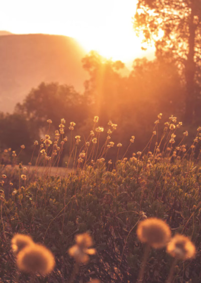 Сочетание по аналогии - пример