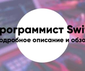 Profession programmer swift11