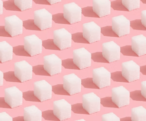 Tilda courses creating websites from scratch