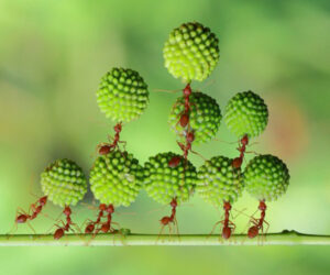 Centralnyy bank rossii