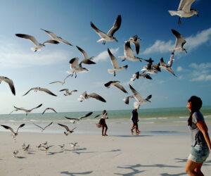 Master prezentacii i publichnyh vystupleniy podrobnoe opisanie i obzor1