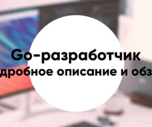 Professiya go razrabotchik10