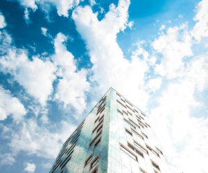 Professiya rukovoditel otdela prodazh