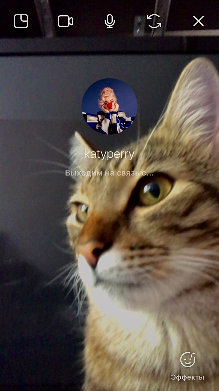 Позвоню-ка я Катерине)