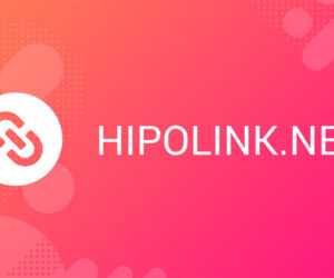 Obzor servisa hipolink