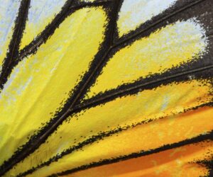 Prodvizhenie v pinterest chto delat chtoby poluchat ottuda trafik i klientov