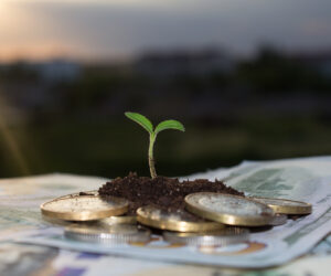 Top kursov dlya finansovyh menedzherov