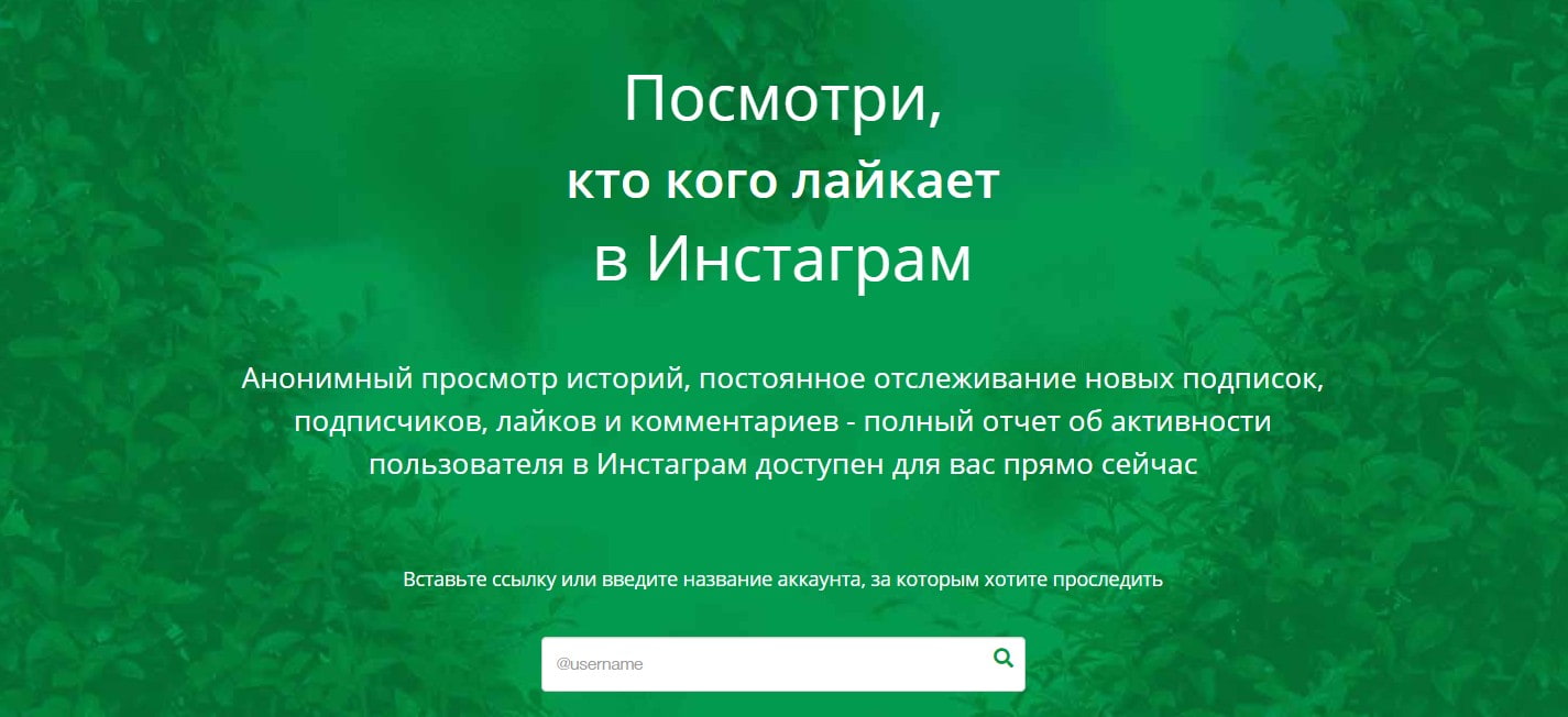 Записаться на курс Zengram Instashpion