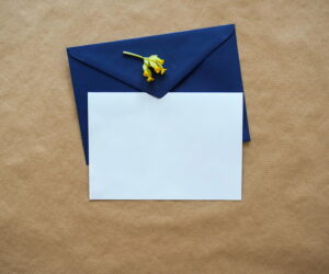 Top servisov dlya email rassylok