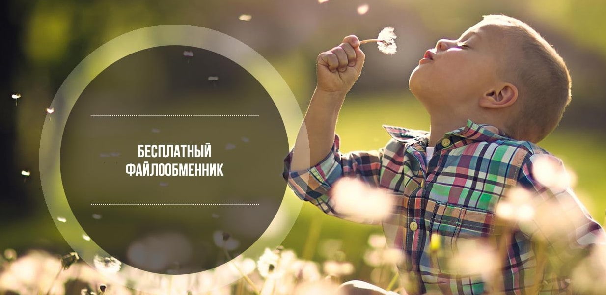 открыть сервис Filecloud