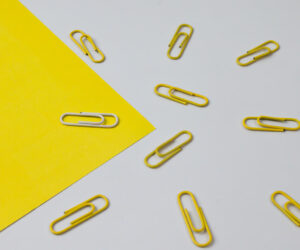 Top servisov dlya raboty so ssylkami dlya seo