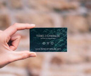 Top servisov dlya sozdaniya vizitok