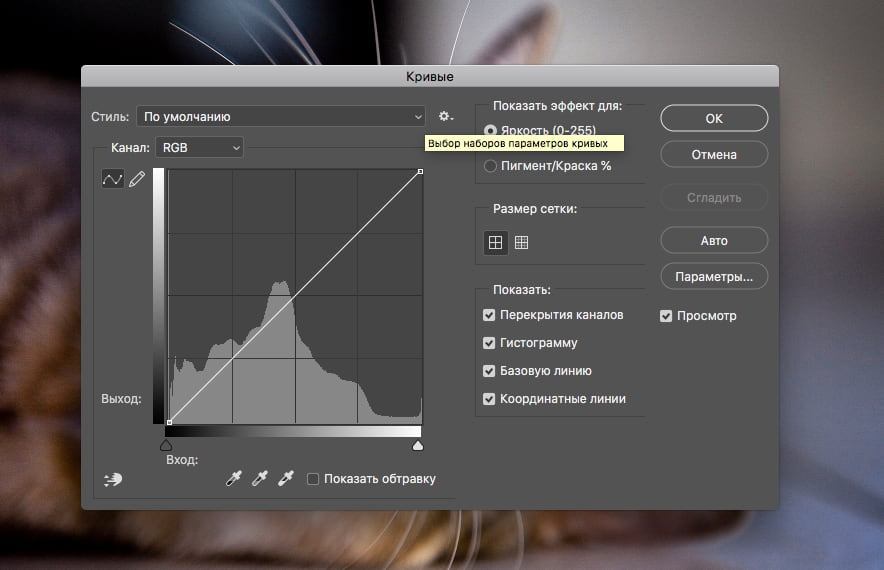 Кто такие «кривые» и при чём здесь цветокоррекция