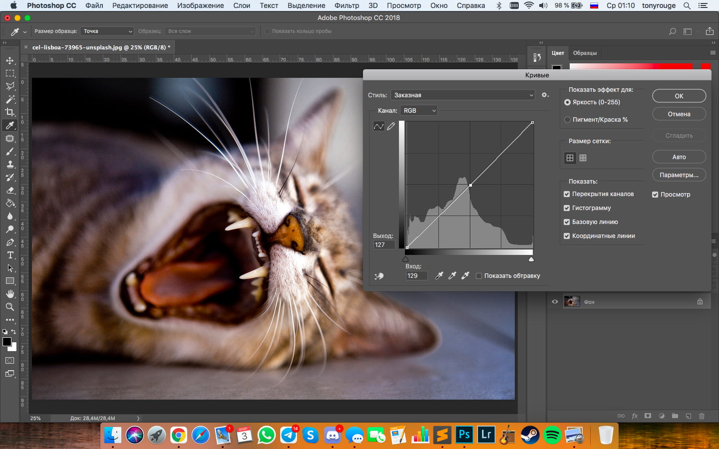 Исходное изображение, создаём точку в середине графика