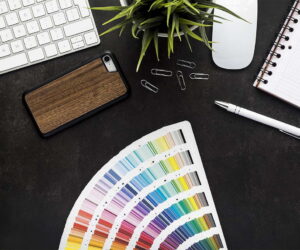 Graficheskiy redaktor canva polnoe opisanie