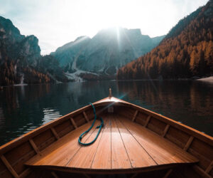 Samye neobychnye vostrebovannye professii chast 2 3 e1623114142866