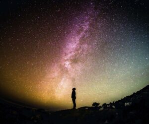 Top poleznyh servisov dlya dizayna