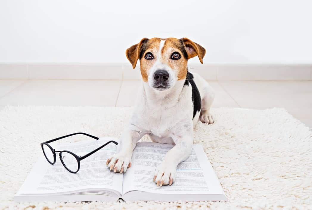 IT-профессии, где не требуется программирование