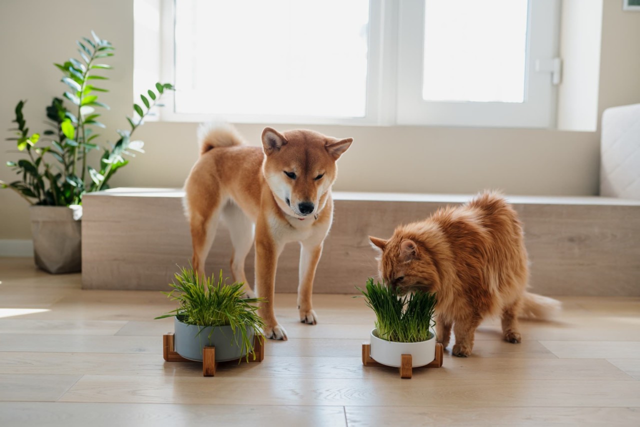 Курсы для тех, кто хочет писать сильные посты