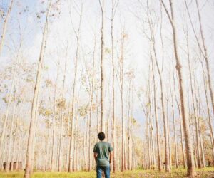 Kak nazvat kompaniyu