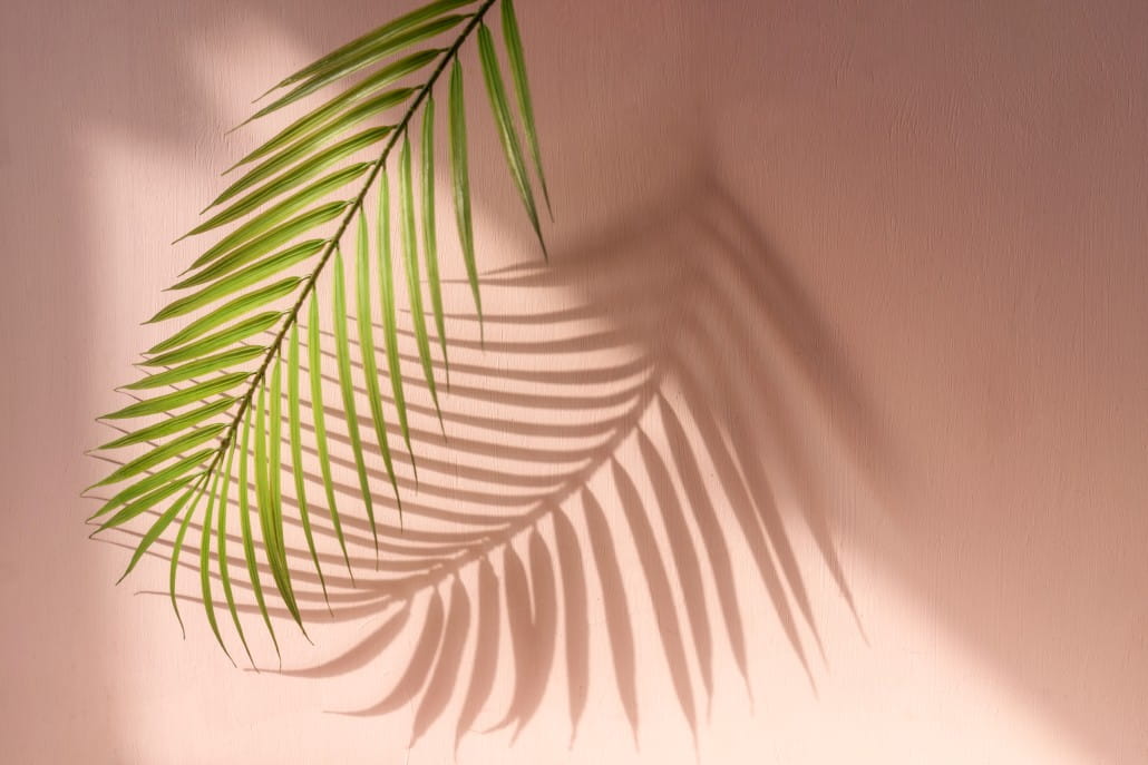 Курс: Питер Брейгель: главное Дизайн среды