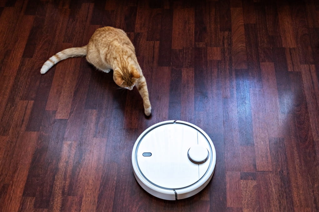 Интернет вещей (IoT)