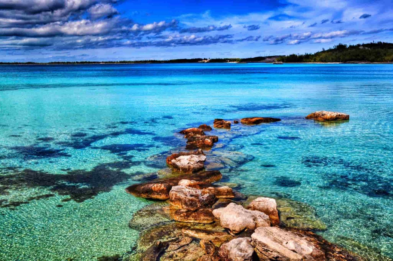 Как стать программистом — почему становятся программистами