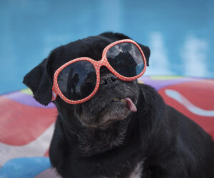 Top 10 shkol upravleniya biznesom