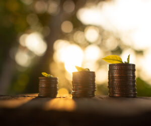 Grow your money t20 ynp9vr