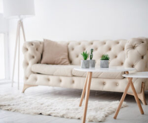 Kak stat dizaynerom interera