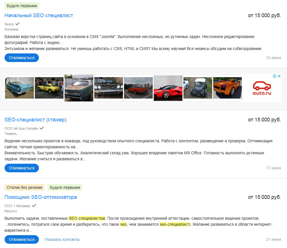 Зарплата начинающего SEO-специалиста или стажёра — джуниора