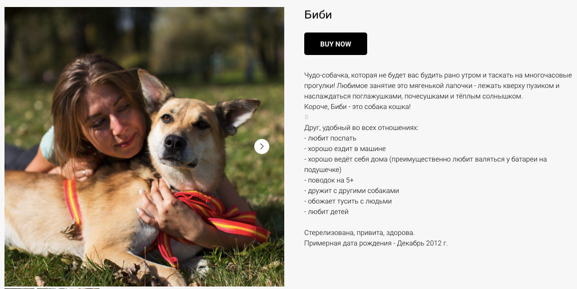 фонд помощи бездомным животным «Лапа Дружбы»