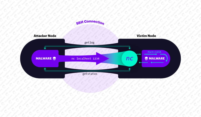 Червь FritzFrog, поражающий серверы, сделан на Go 