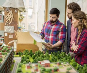 Kak stat landshaftnym dizaynerom