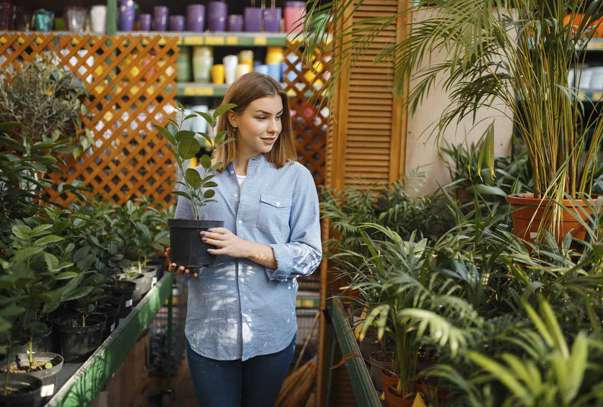 Флористика