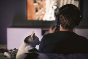 Professiya testirovshchik igr